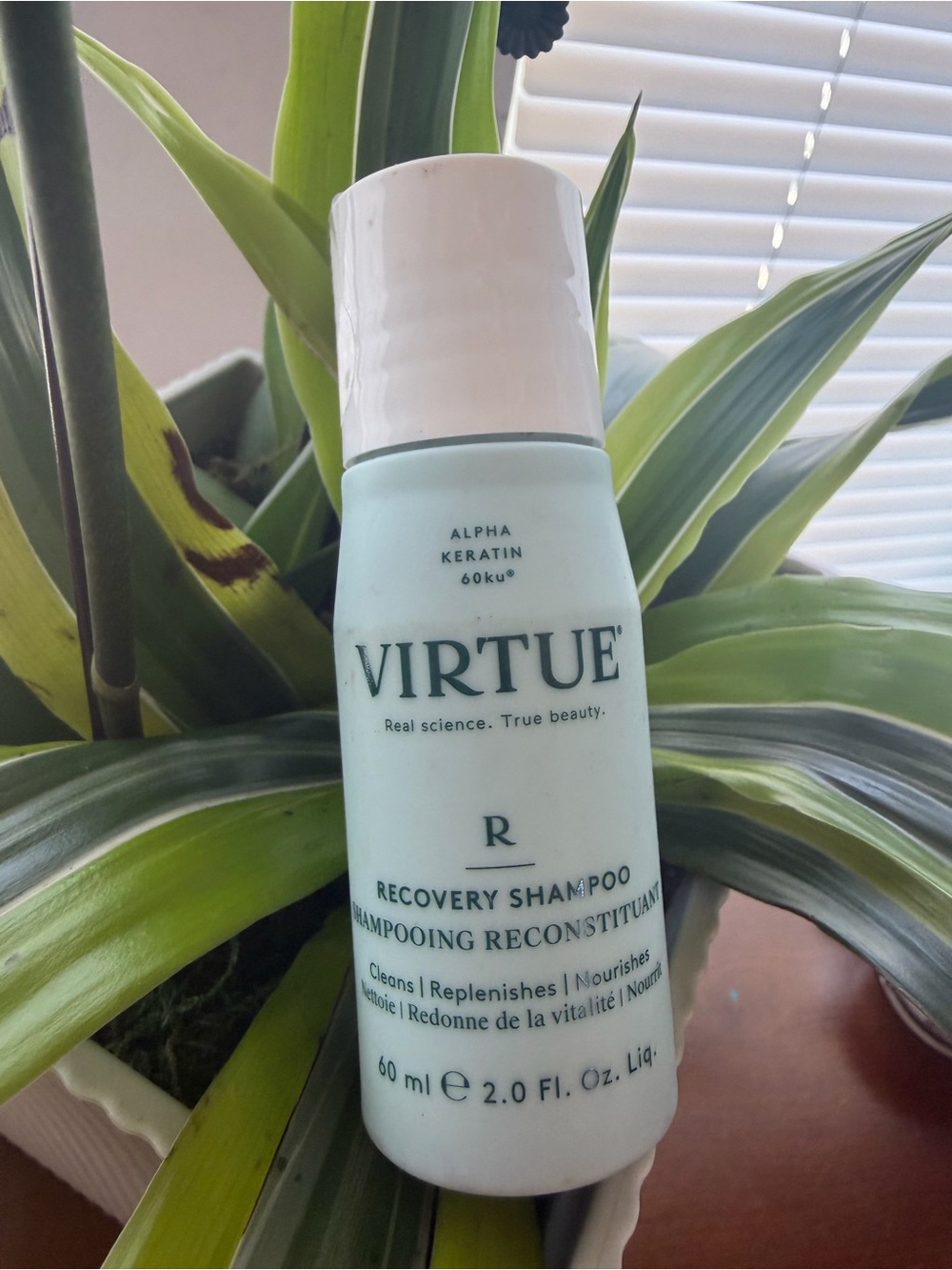 Recovery Shampoo — Mint Green (Travel Size)